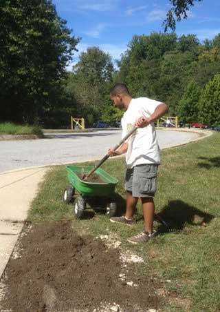 volunteer working